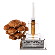 تحميل الصورة في عارض المعرض، A cluster of brown chestnut mushrooms next to a clear syringe filled with amber liquid mounted on a clear acrylic stand with a silver base labeled AGGietROPICALS CHESTNUT MUSHROOM PREMIUM LIQUID MYCELIUM 10cc.