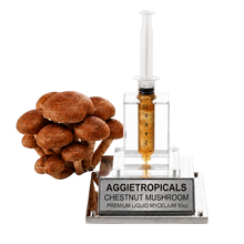 تحميل الصورة في عارض المعرض، A cluster of brown chestnut mushrooms next to a clear syringe-style container filled with amber liquid, mounted on a clear acrylic base with a silver plaque reading 'AGGietROPICALS CHESTNUT MUSHROOM PREMIUM LIQUID MYCELIUM 10oz'.