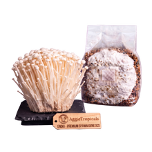 Load image into Gallery viewer, Enoki mushroom sterilized grain spawn bag