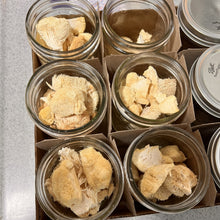 تحميل الصورة في عارض المعرض، Clear glass jars with metal lids containing liondmane mushroom on a speckled countertop.