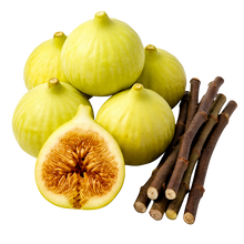 تحميل الصورة في عارض المعرض، Fresh green figs with one cut open to show the orange-brown interior, alongside several dark brown fig stems, isolated on a white background.