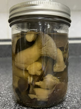Load image into Gallery viewer, A clear glass mason jar with a silver metal lid, filled with sliced mushrooms submerged in a dark liquid, set on a dark countertop.