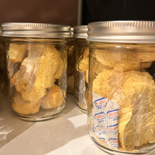 تحميل الصورة في عارض المعرض، Clear glass jars with metal lids containing liondmane mushroom on a speckled countertop.