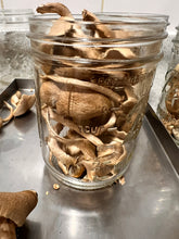 Load image into Gallery viewer, Freeze-Dried Pioppino Mushroom