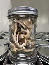 Load image into Gallery viewer, Freeze-Dried Pioppino Mushroom