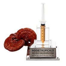 Load image into Gallery viewer, Reishi Liquid Culture