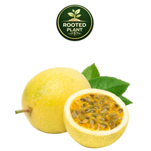 تحميل الصورة في عارض المعرض، A yellow passion fruit shown whole and halved to reveal its black seeds and orange-yellow pulp, with green leaves, on a white background. A circular 'Rooted Plant' logo is displayed at the top.