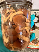 Load image into Gallery viewer, Pressure Canned Pioppino Mushrooms