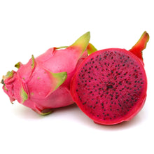 Load image into Gallery viewer, Sweet red dragon fruit live plant of vietnamese giant variety and this variety is considered to be self fertile