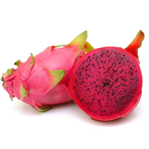 Sweet red dragon fruit live plant of vietnamese giant variety and this variety is considered to be self fertile