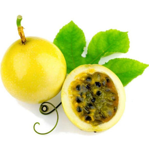 Yellow passion fruit rooted live plant that is self pollinating variety