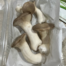 Load image into Gallery viewer, King Oyster Mushroom