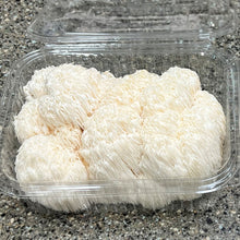 Load image into Gallery viewer, Lion's Mane Mushroom