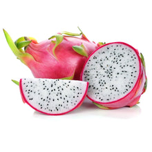 Load image into Gallery viewer, Sweet vietnamese white giant dragon fruit live plant and it is considered to be the easiest dragon fruit to grow
