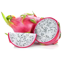 Load image into Gallery viewer, Sweet vietnamese white giant dragon fruit live plant and it is considered to be the easiest dragon fruit to grow