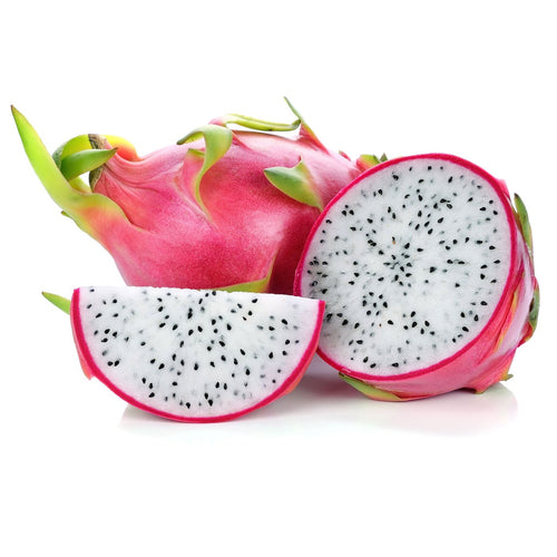 Sweet vietnamese white giant dragon fruit live plant and it is considered to be the easiest dragon fruit to grow