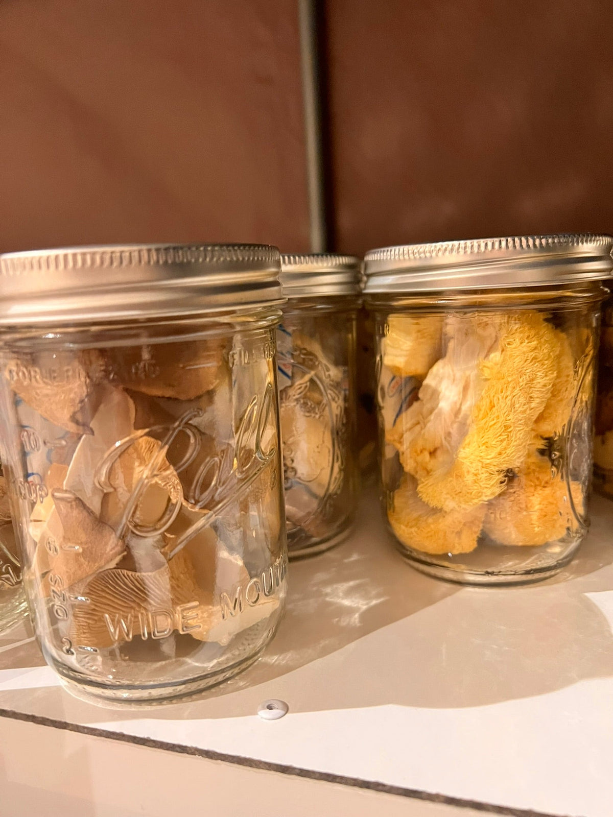 Freeze-Dried Mushrooms