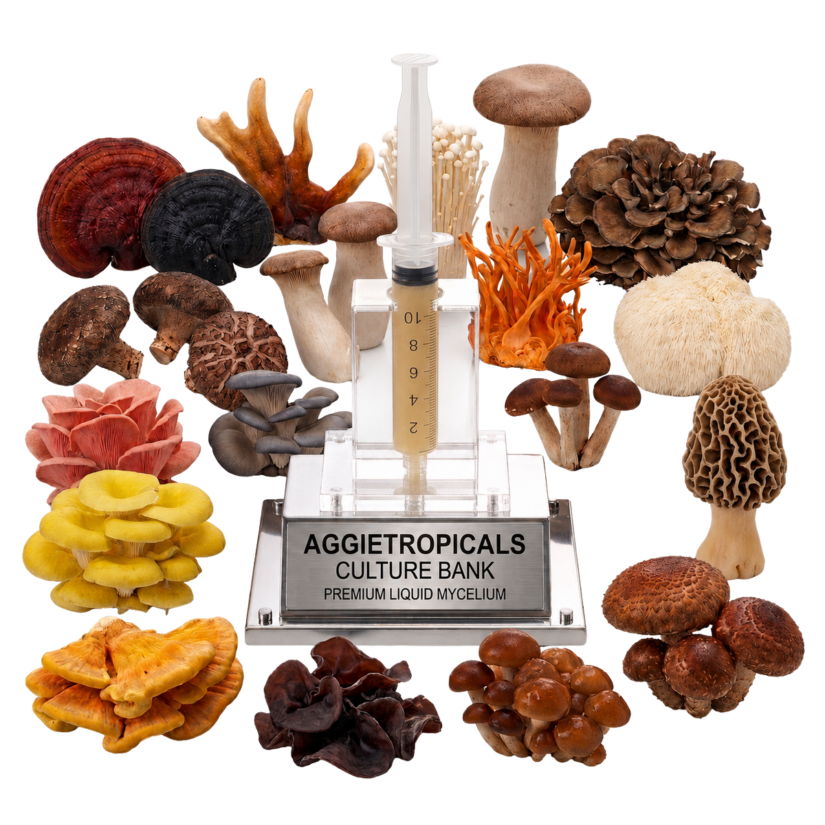 Mushroom Liquid Cultures
