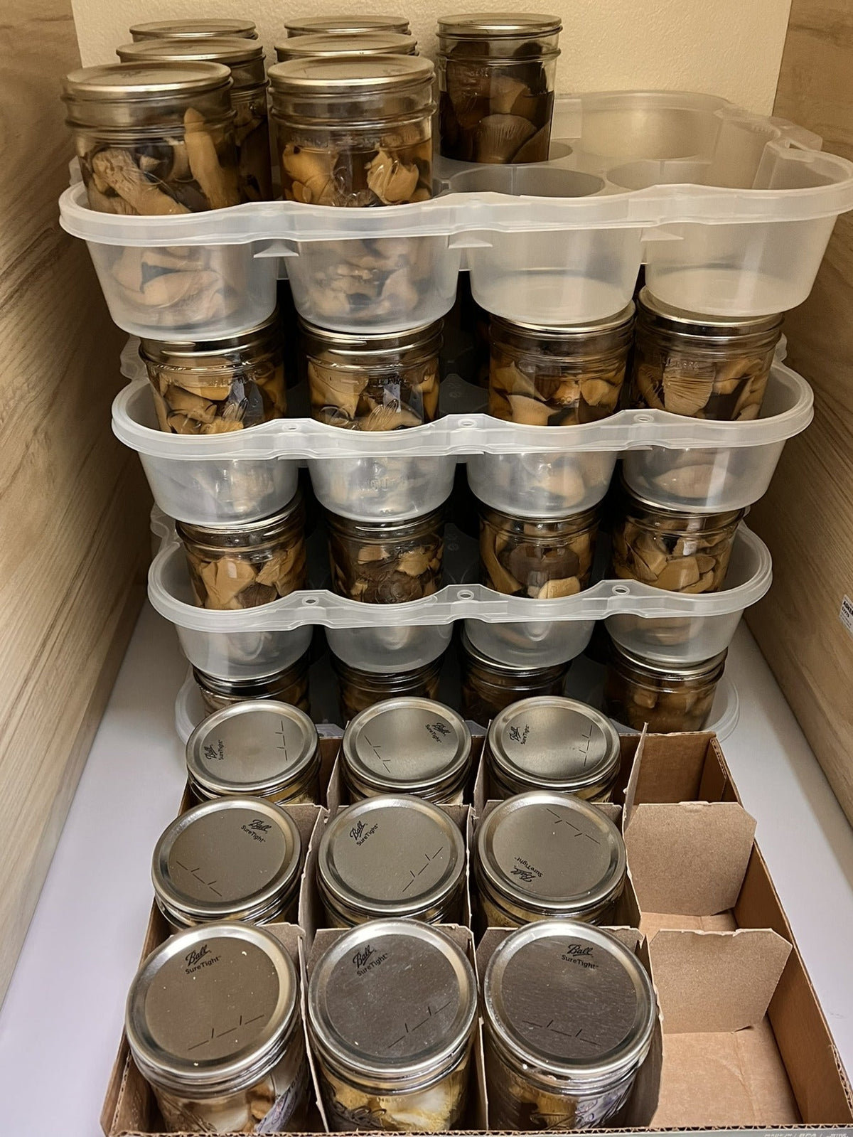 Pressure-Canned Mushrooms