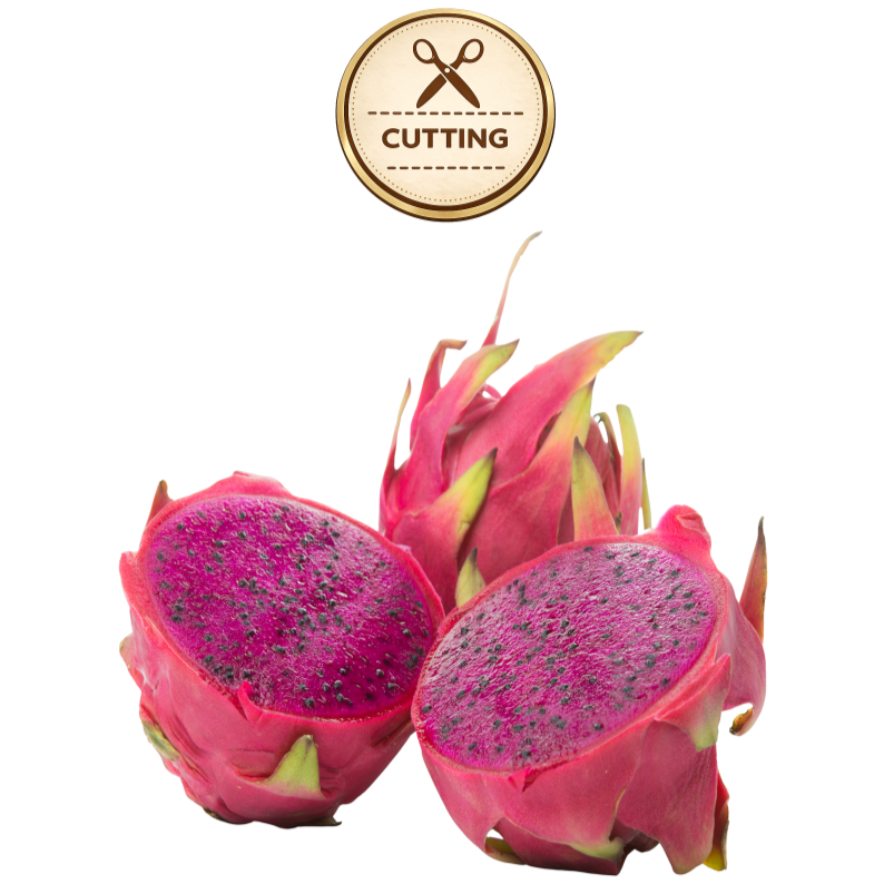 Three American Beauty dragon fruit pieces on a white background, including two halves showing bright magenta flesh with dark seeds and one whole fruit with pink skin and green-yellow tips. A circular 'CUTTING' icon appears above.