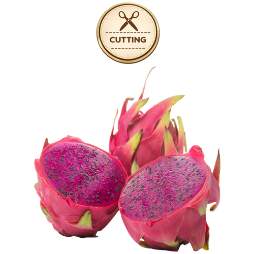 Three American Beauty dragon fruit pieces on a white background, including two halves showing bright magenta flesh with dark seeds and one whole fruit with pink skin and green-yellow tips. A circular 'CUTTING' icon appears above.
