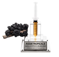 A black, knobby, woody growth of Annulohypoxylon archeri (the Tremella companion fungus) on a piece of wood, beside a syringe filled with liquid mycelium culture mounted on a mirrored stand, labeled "AGGIETROPICALS, ANNULOHYPOXYLON ARCHERI, PREMIUM LIQUID MYCELIUM 10cc", on a white background.