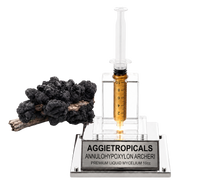 A clear acrylic and glass syringe-style container filled with amber liquid, mounted on a silver base engraved with 'AGGJETROPICALS ANNULOHYPXYLON ARCHERI PREMIUM LIQUID MYCELIUM 10cc'. A black fungal cluster sits to the left on a white background.