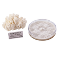 A white coral-shaped honeycomb mushroom culture sample next to a clear petri dish showing a white mycelial mat, with a label reading 'AGGietROPICAL CULTURE BANK'.