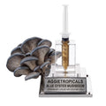 A dense cluster of King Blue Oyster mushrooms with blue-grey fan-shaped caps, beside a syringe filled with liquid mycelium culture mounted on a mirrored stand, labeled "AGGIETROPICALS, KING BLUE OYSTER, PREMIUM LIQUID MYCELIUM 10cc", on a white background.