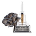 A liquid mycelium oyster mushroom starter kit by Aggietropicals, featuring a cluster of grey-blue oyster mushrooms next to a clear plastic syringe filled with golden liquid, mounted on a clear acrylic stand with a silver metal base plate.