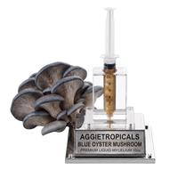 A liquid mycelium oyster mushroom starter kit by Aggietropicals, featuring a cluster of grey-blue oyster mushrooms next to a clear plastic syringe filled with golden liquid, mounted on a clear acrylic stand with a silver metal base plate.