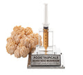 A rounded Bear's Head mushroom formed of white branching spines, beside a syringe filled with liquid mycelium culture mounted on a mirrored stand, labeled "AGGIETROPICALS, BEAR'S HEAD, PREMIUM LIQUID MYCELIUM 10cc", on a white background.
