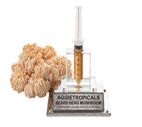 A rounded Bear's Head mushroom formed of white branching spines, beside a syringe filled with liquid mycelium culture mounted on a mirrored stand, labeled "AGGIETROPICALS, BEAR'S HEAD, PREMIUM LIQUID MYCELIUM 10cc", on a white background.