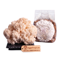 A cluster of beige lion's mane mushrooms next to a clear plastic bag containing a white spore print over brown substrate, with a wooden Aggie's Tropicals brand tag in front on a white background.