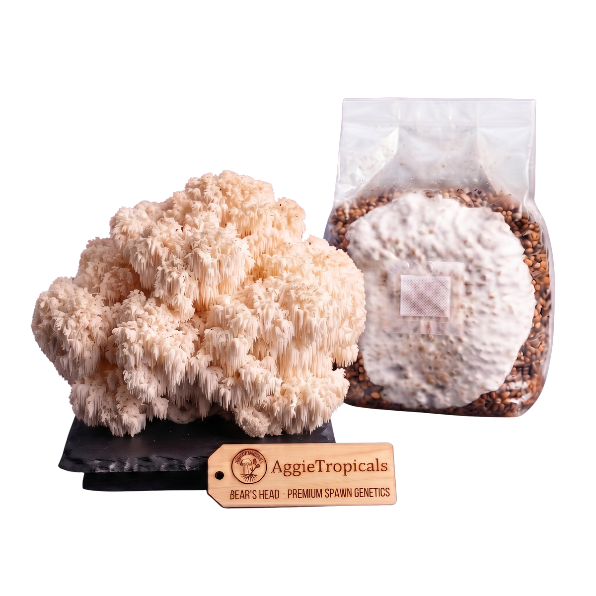 A cluster of beige lion's mane mushrooms next to a clear plastic bag containing a white spore print over brown substrate, with a wooden Aggie's Tropicals brand tag in front on a white background.