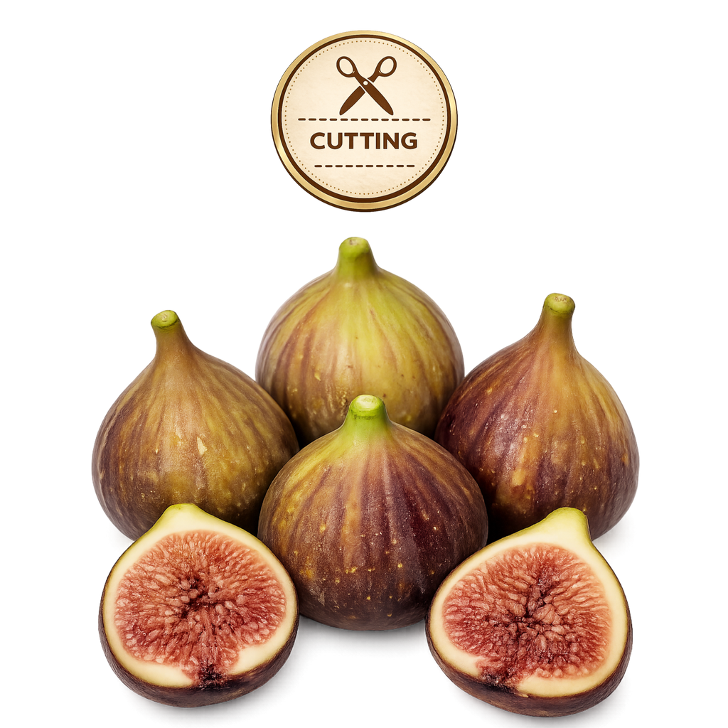Five whole and two halved figs arranged on a white background, with a circular 'CUTTING' icon above them. The figs show brown-purple skins and pinkish-red interiors.