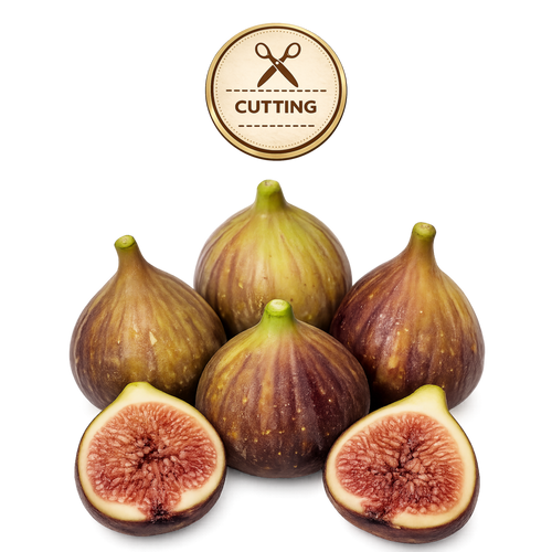 Five whole and two halved figs arranged on a white background, with a circular 'CUTTING' icon above them. The figs show brown-purple skins and pinkish-red interiors.