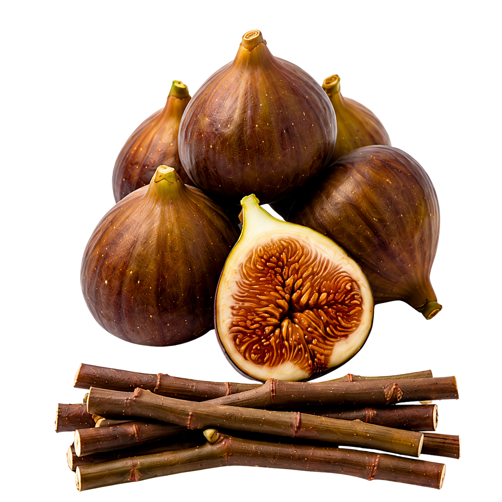 Several dark brown figs with one cut open to show the inner seeds, arranged above a bundle of brown fig stalks on a plain white background.