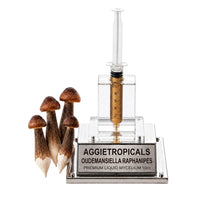 A cluster of Black Pencil mushrooms with elongated dark brown scaly caps on tapering pencil-like stems, beside a syringe filled with liquid mycelium culture mounted on a mirrored stand, labeled "AGGIETROPICALS, OUDEMANSIELLA RAPHANIPES, PREMIUM LIQUID MYCELIUM 10cc", on a white background.
