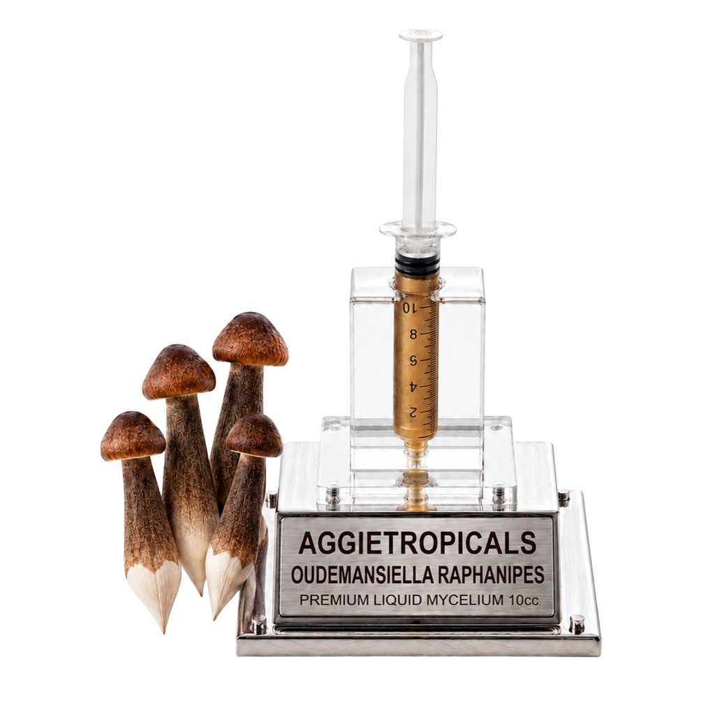 A novelty syringe-shaped liquid mycelium grow kit by Aggietropicals, featuring a clear plastic syringe filled with amber liquid mounted on a clear acrylic stand, set on a silver metal base with a silver label reading 'AGGIETROPICALS OUDEMANSIELLA RAPHANIPES PREMIUM LIQUID MYCELIUM 10CC'. Five realistic brown and white mushrooms are displayed to the left of the base against a clean white background.