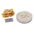 A product display showing a cluster of orange-brown Aggretropical mushroom fruiting bodies next to a small label, and a clear round petri dish containing white and pale yellow mycelium of chicken of the woods on a white background.