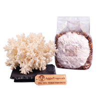 A coral tooth mushroom display next to a clear plastic pouch containing a white powder and brown granules, with a wooden tag reading AggieTropicals Coral Tooth - Premium Spawn Genetics, on a white background.