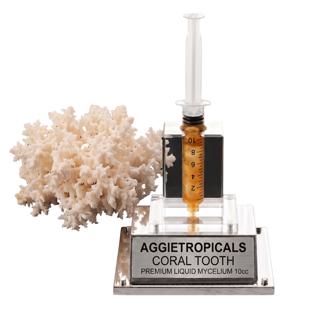 A coral tooth liquid mycelium kit by Aggietropicals, featuring a clear acrylic syringe filled with amber liquid, a clear acrylic base with a silver metal plaque, and a white coral tooth prop, all on a white background.
