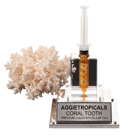 A coral tooth liquid mycelium kit by Aggietropicals, featuring a clear acrylic syringe filled with amber liquid, a clear acrylic base with a silver metal plaque, and a white coral tooth prop, all on a white background.