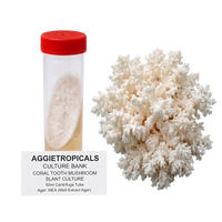 A 50ml centrifuge tube with a red cap containing a white slant culture, shown next to a cluster of white coral tooth mushroom fruiting bodies. A label below reads 'AGGIETROPICALS CULTURE BANK CORAL TOOTH MUSHROOM SLANT CULTURE 50ml Centrifuge Tube'.