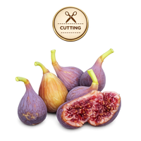 Several fresh figs with purple skins and pale green stems are arranged on a white background, with one fig cut open to show the red-purple seed interior. A circular gold badge at the top reads “CUTTING” with scissors icon.