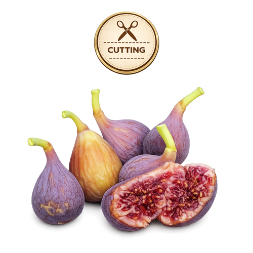 Several fresh figs with purple skins and pale green stems are arranged on a white background, with one fig cut open to show the red-purple seed interior. A circular gold badge at the top reads “CUTTING” with scissors icon.