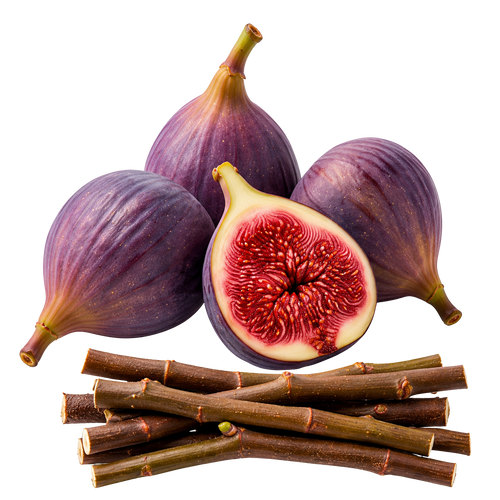 Four purple figs on a white background, with one fig cut in half to show the red-pink interior, and several brown fig stems arranged in front.