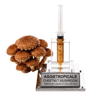 A dense cluster of Chestnut mushrooms with small golden-brown caps, beside a syringe filled with liquid mycelium culture mounted on a mirrored stand, labeled "AGGIETROPICALS, CHESTNUT, PREMIUM LIQUID MYCELIUM 10cc", on a white background.