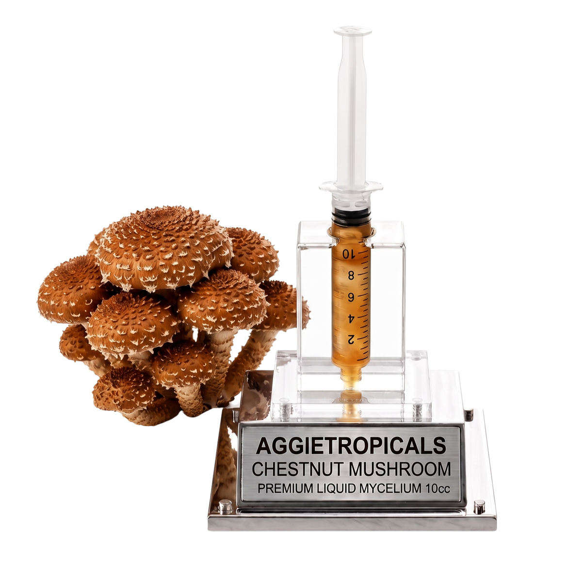 A cluster of brown chestnut mushrooms next to a clear syringe filled with amber liquid mounted on a clear acrylic stand with a silver base labeled AGGietROPICALS CHESTNUT MUSHROOM PREMIUM LIQUID MYCELIUM 10cc.